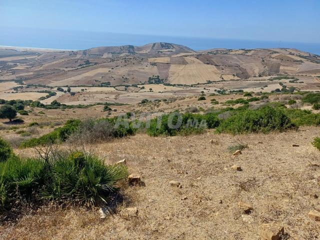 Propriété vente à Assilah, Tanger-Tétouan