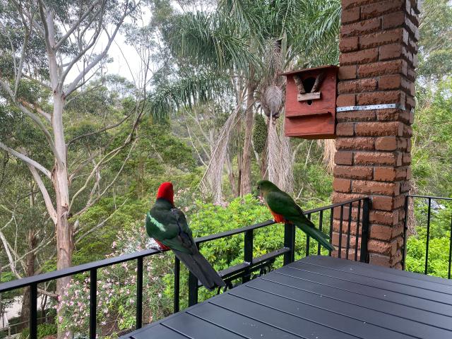 House for sale in Gosford, New South Wales