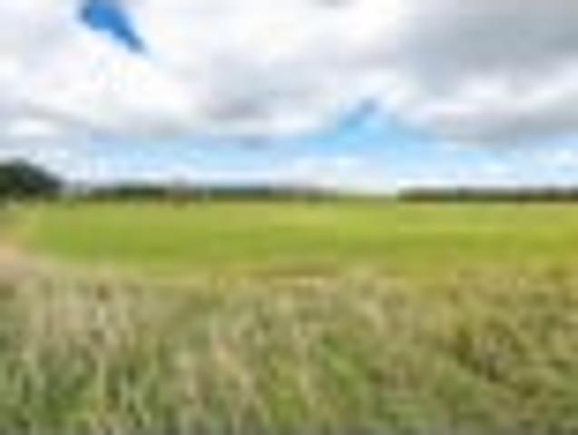 House for sale in Cape Palliser, Wellington