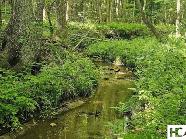 Land for sale in North Carolina