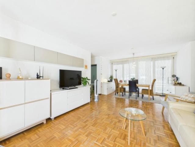 Wohnung kaufen in Agno, Tessin