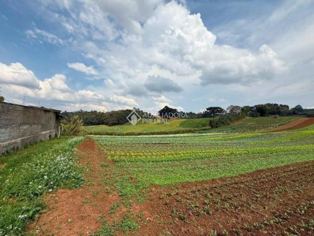 Terreno venda em Região Geográfica Imediata de Curitiba, Região Metropolitana de Curitiba