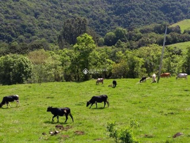 Sítio e chácara venda em Região Geográfica Imediata de Caxias do Sul, Canela