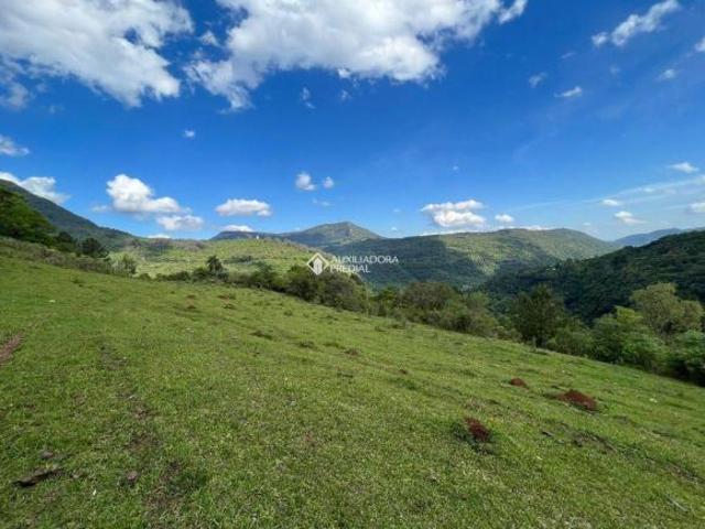 Sítio e chácara venda em Região Geográfica Imediata de Caxias do Sul, Canela