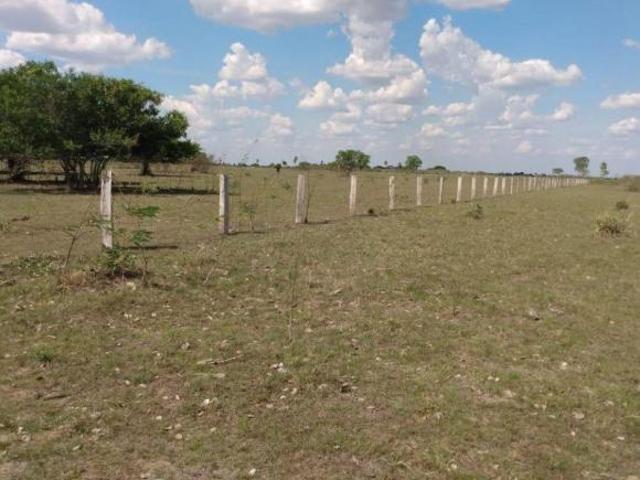 Sítio e chácara venda em Região Geográfica Imediata de Cáceres, Antônio João