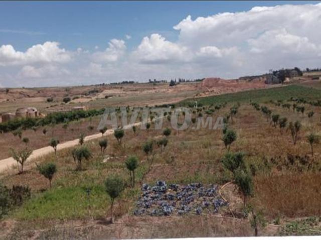 Propriété vente à Agadir, Oued ed Dahab-Lagouira