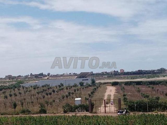 Propriété vente à Agadir, Oued ed Dahab-Lagouira