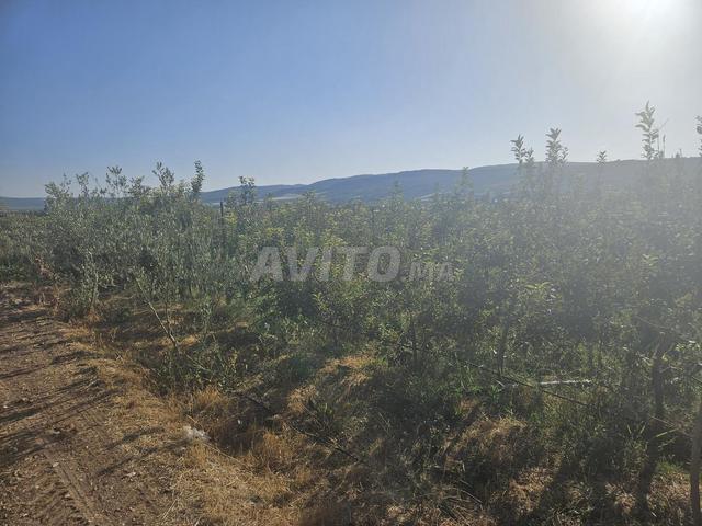 Propriété vente à Imouzzer Des Ida Ou Tanane, Oued ed Dahab-Lagouira