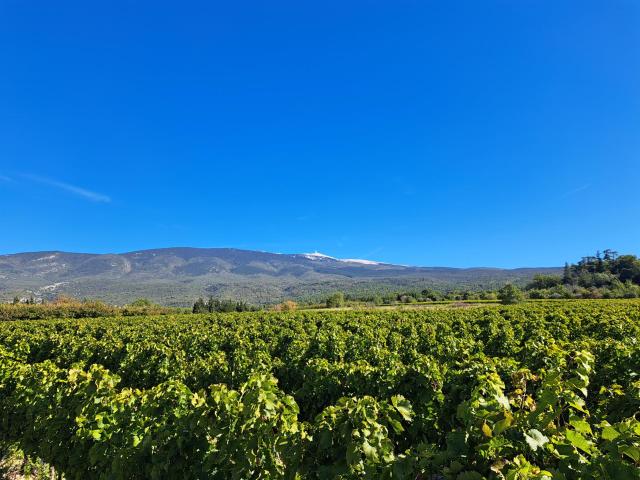 Maison vente à France métropolitaine, Bédoin