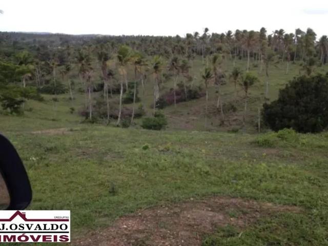 Fazenda venda em Região Geográfica Imediata de Alagoinhas, Jandaíra