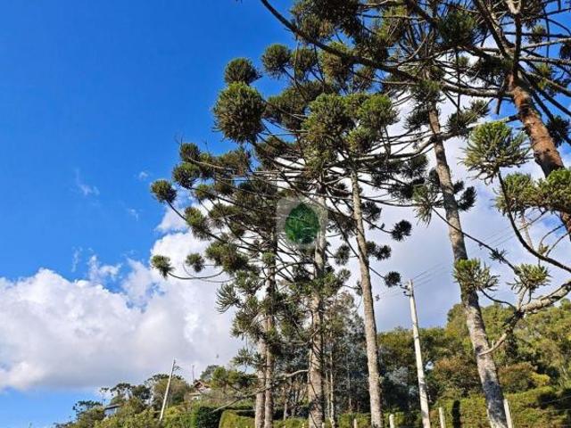 Terreno venda em Região Imediata de Taubaté-Pindamonhangaba, Região Metropolitana do Vale do Paraíba e Litoral Norte