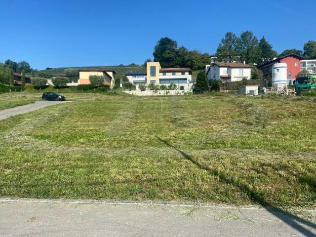 Immobilie kaufen in S. Pietro, Tessin