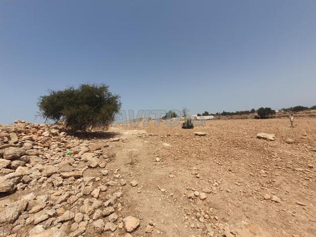 Propriété location à Essaouira, L'Oriental