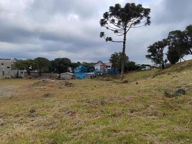 Terreno venda em Região Geográfica Imediata de Caxias do Sul, Caxias do Sul
