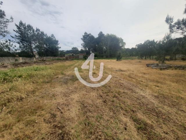 Terreno venda em Pederneira, Leiria