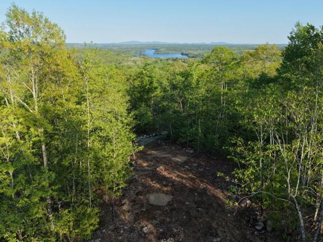 Land for sale in Orland, Maine