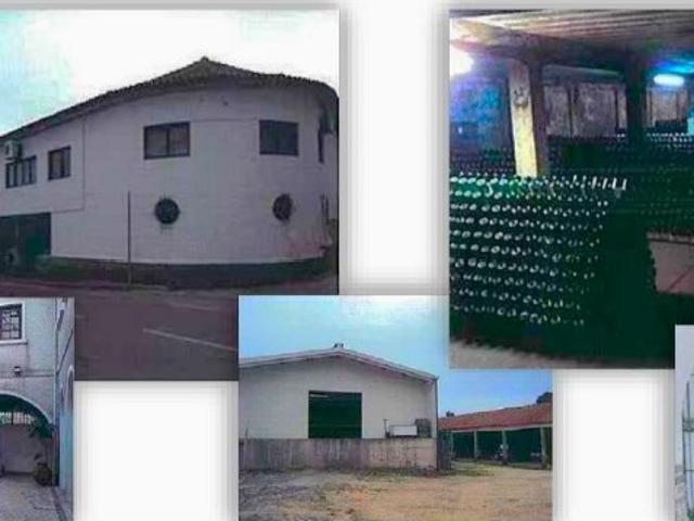Armazém venda em Anadia, Aveiro