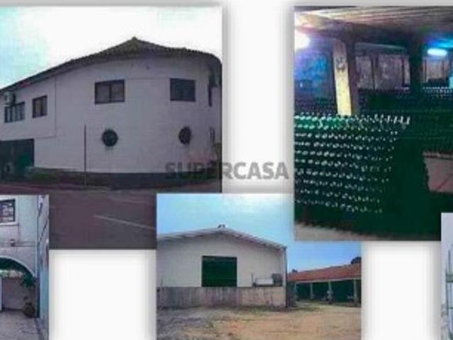 Armazém venda em Anadia, Aveiro