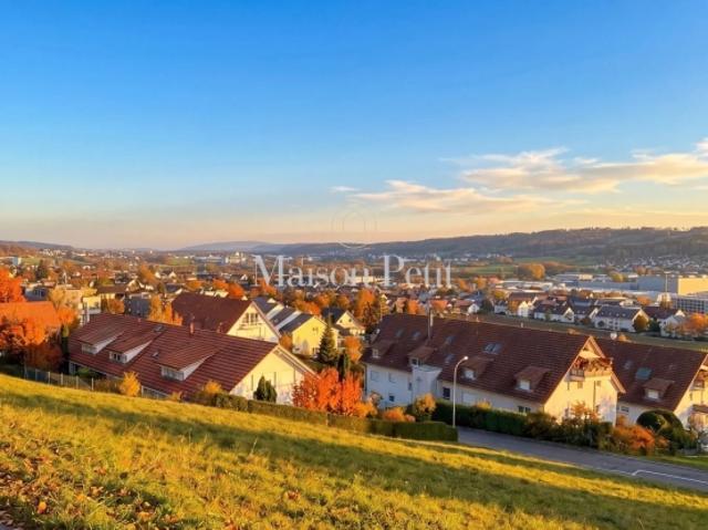 Grundstück kaufen in Buchs (ZH), Bezirk Dielsdorf