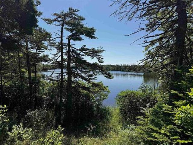 Land for sale in Cape Auguet, Nova Scotia
