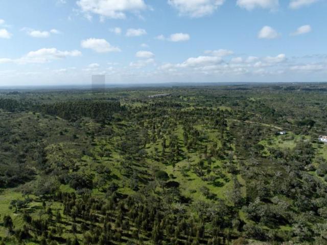 Terreno venda em Grândola e Santa Margarida da Serra, Grândola