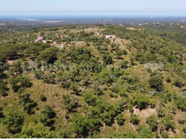 Terreno venda em Grândola, Setúbal