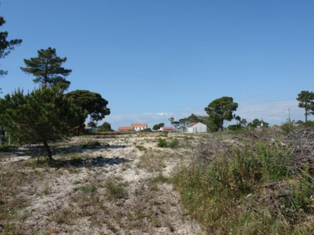 Terreno venda em Grândola, Setúbal