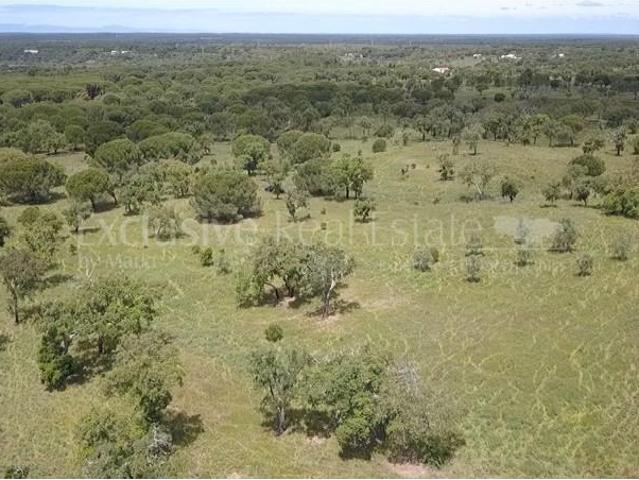 Terreno venda em Pinheiro da Chave, Grândola