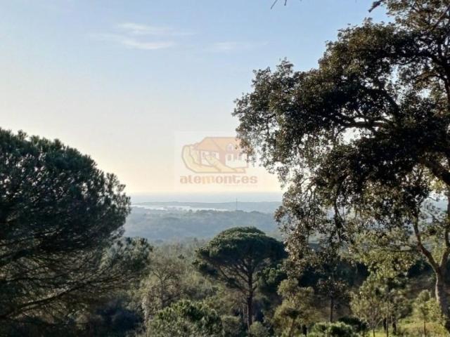 Terreno venda em Grândola, Setúbal