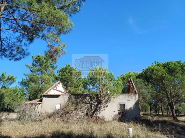 Terreno venda em Grândola, Setúbal