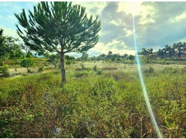 Terreno venda em Mosqueirões, Grândola