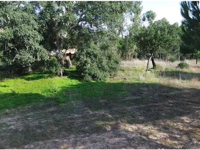 Terreno venda em Pinheiro da Chave, Grândola