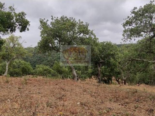 Terreno venda em Grândola, Setúbal