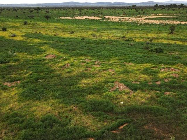 Cottage for sale in Orroroo, South Australia
