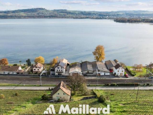 Haus kaufen in Grandson, Waadt