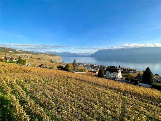 Wohnung kaufen in Bourg-en-Lavaux, Waadt