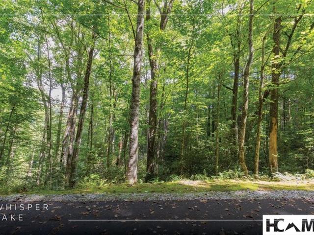 Land for sale in Sapphire, Transylvania County