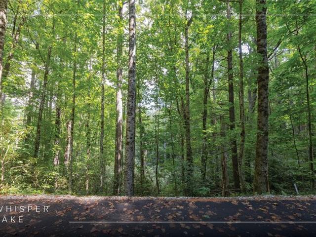 Land for sale in Sapphire, Transylvania County
