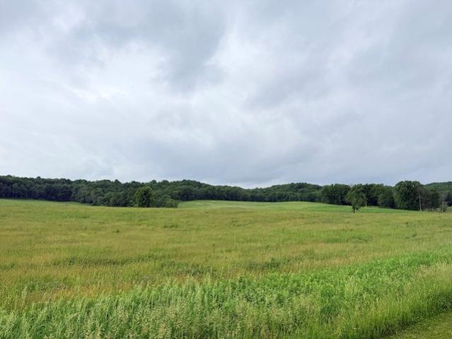 Land for sale in Fall Creek, Wisconsin
