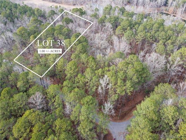 Land for sale in Northport, Alabama