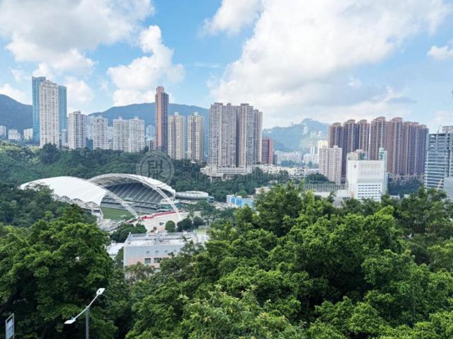 提供 出租 的 公寓