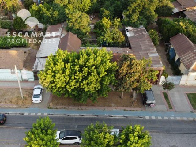 Graneros, Antonio Varas 67