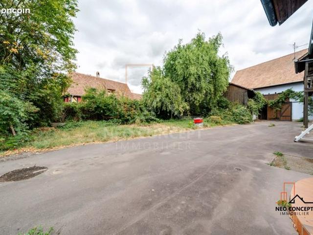 Maison vente à Eckwersheim, Collectivité européenne d'Alsace