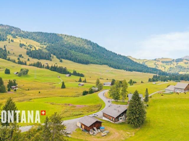 Garage kaufen in Ormont-Dessous, Waadt