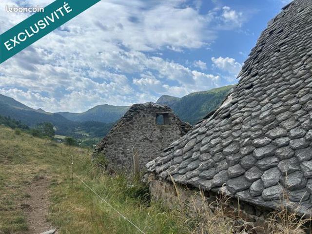 Maison vente à Le Falgoux, Cantal