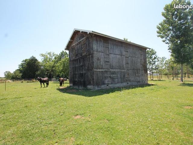 Maison vente à Nérac, Casteljaloux