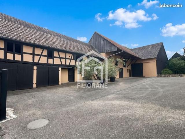 Maison vente à Kleingœft, Collectivité européenne d'Alsace