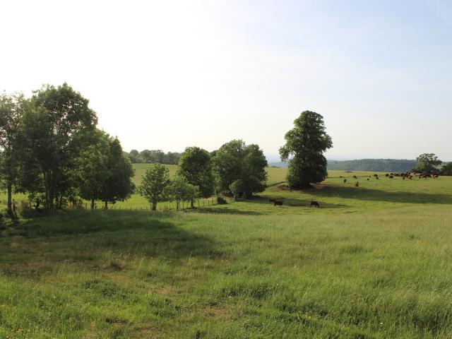 Maison vente à Mauriac, Anglards-de-salers