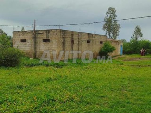 Propriété vente à Sidi Qacem