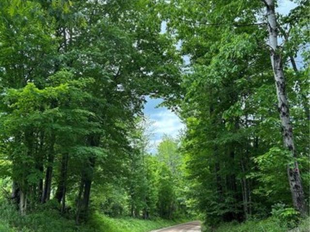 Land for sale in Oneonta, New York